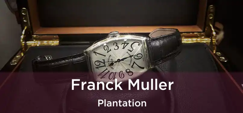  Franck Muller Plantation