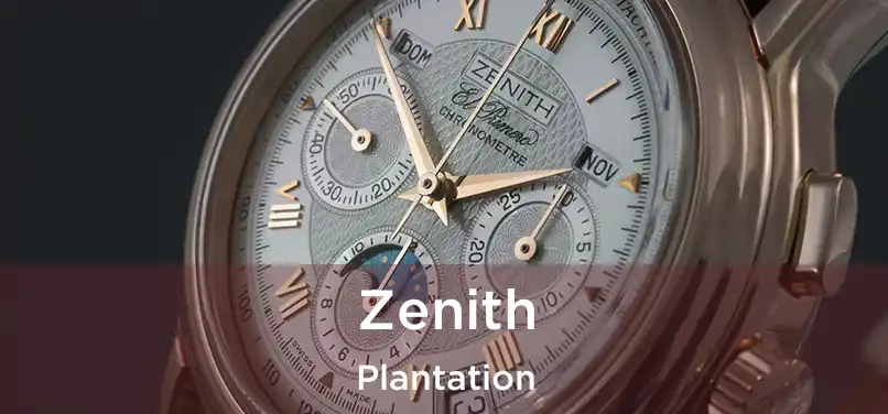  Zenith Plantation